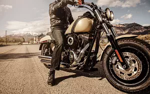Harley-Davidson Dyna Fat Bob      4K Ultra HD