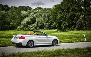 BMW 220d Convertible M Sport      4K Ultra HD